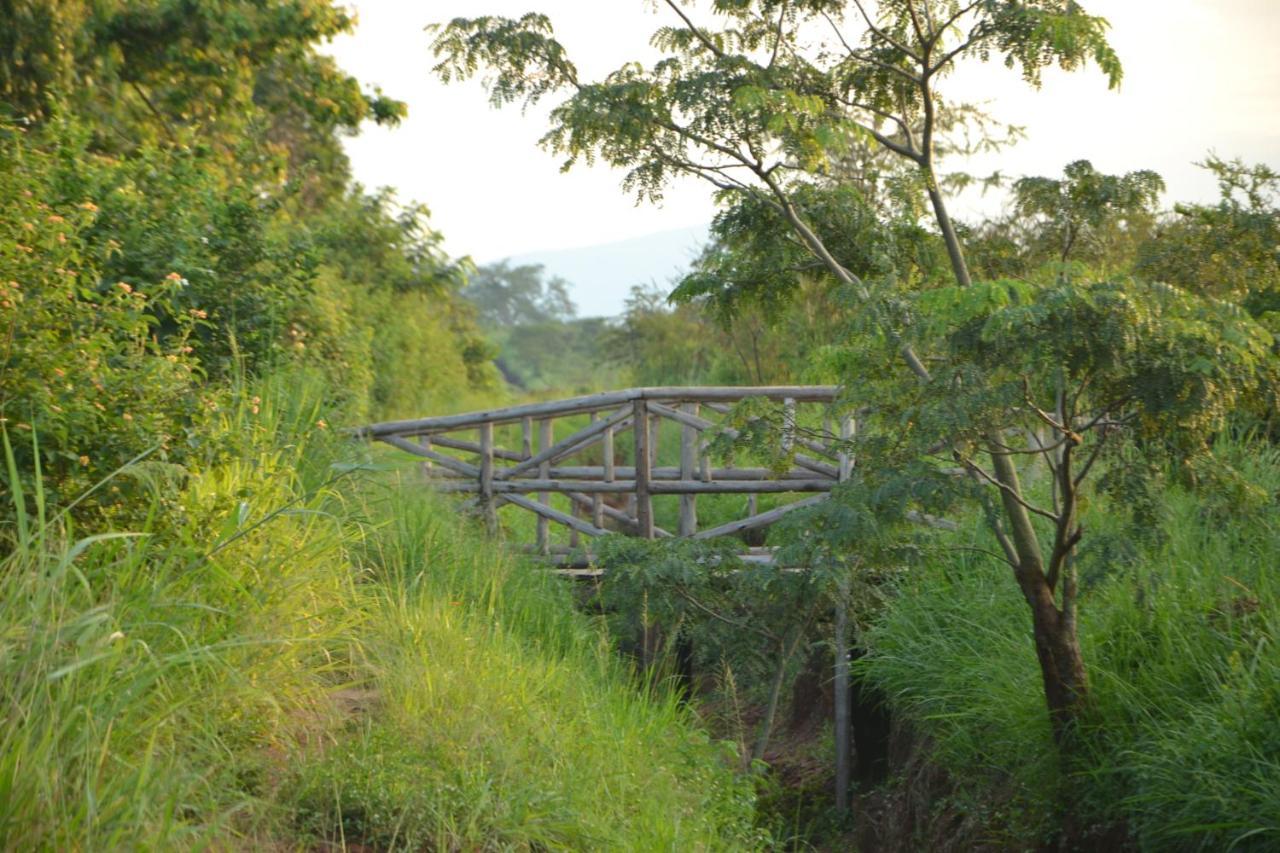 Topi Lodge Katunguru Buitenkant foto